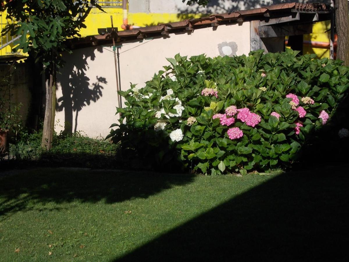Les Hirondelles Bed & Breakfast Fenis Ngoại thất bức ảnh