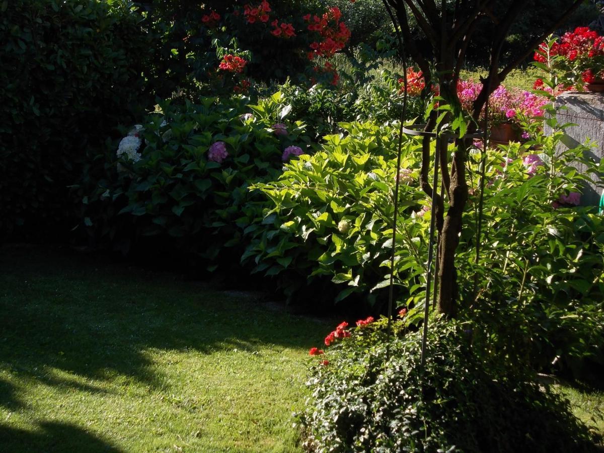 Les Hirondelles Bed & Breakfast Fenis Ngoại thất bức ảnh
